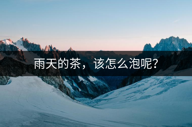 雨天的茶，該怎么泡呢？