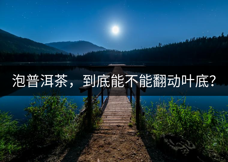 泡普洱茶，到底能不能翻動(dòng)葉底？