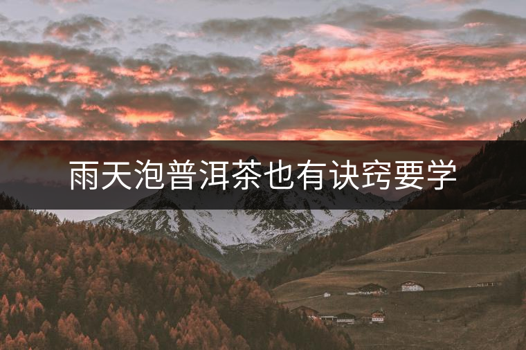 雨天泡普洱茶也有訣竅要學(xué) 雨天泡普洱茶也有訣竅要學(xué)