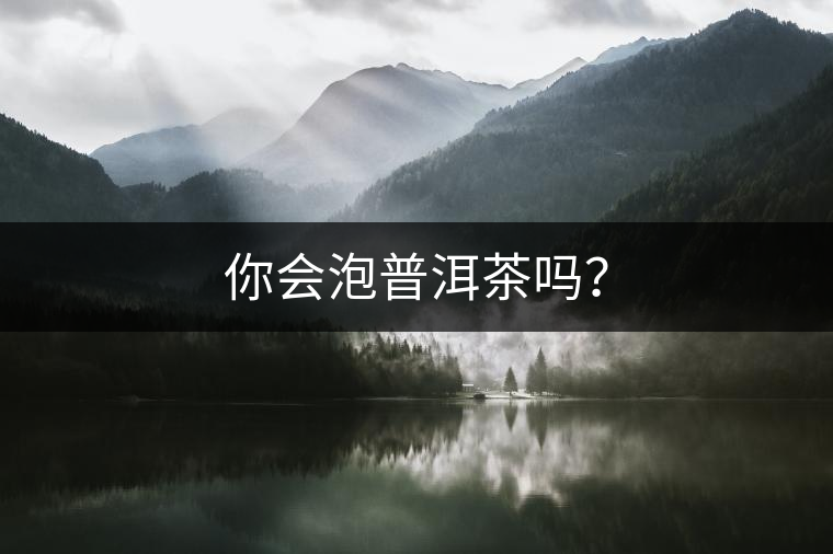 你會(huì)泡普洱茶嗎？
