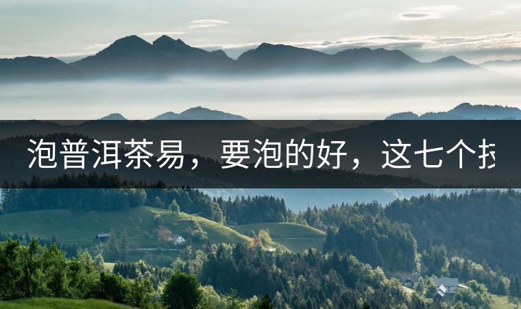 泡普洱茶易，要泡的好，這七個技巧很重要！