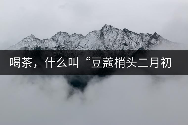 喝茶，什么叫“豆蔻梢頭二月初”？