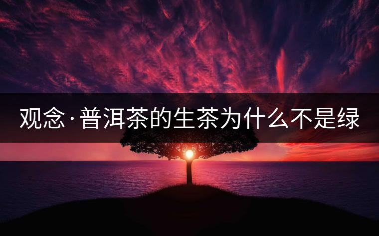 觀念·普洱茶的生茶為什么不是綠茶？