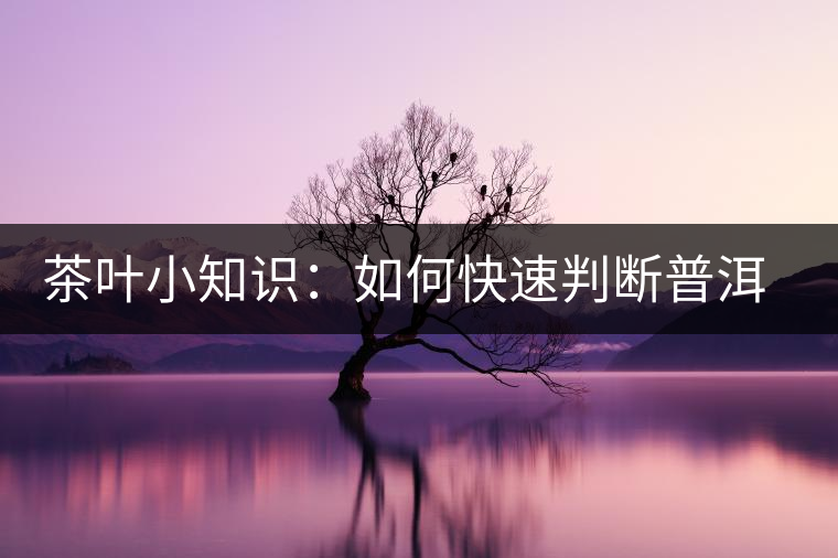 茶葉小知識：如何快速判斷普洱茶品級高低？