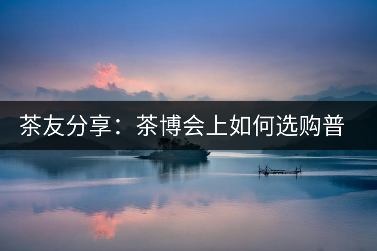 茶友分享：茶博會上如何選購普洱茶？