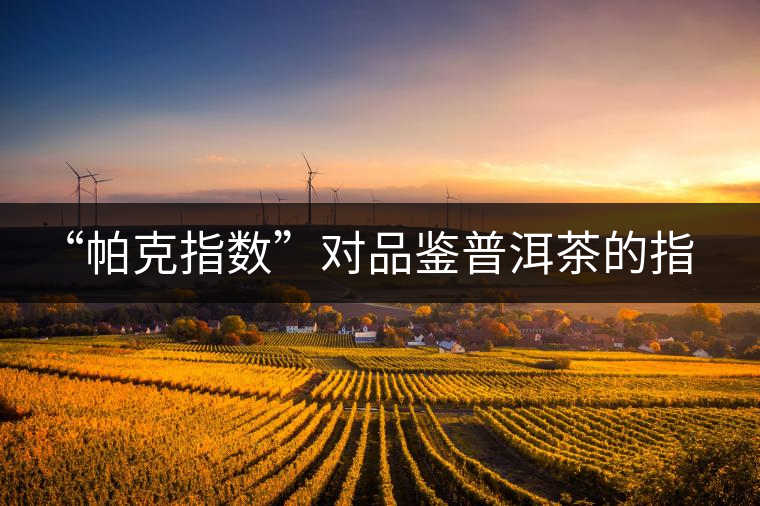 “帕克指數(shù)”對品鑒普洱茶的指導(dǎo)意義在哪里？「跨界有道」