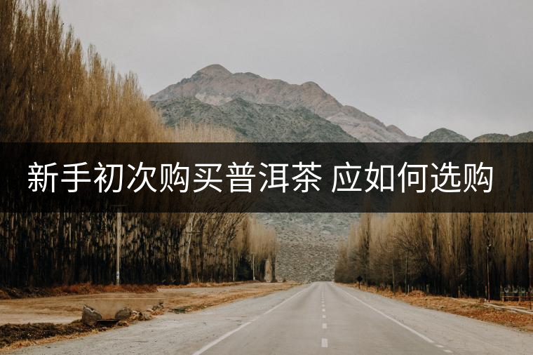 新手初次購買普洱茶 應(yīng)如何選購？