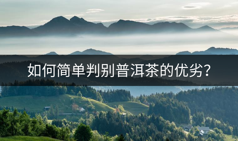如何簡(jiǎn)單判別普洱茶的優(yōu)劣？