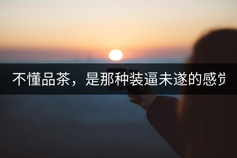 不懂品茶，是那種裝逼未遂的感覺(jué)？