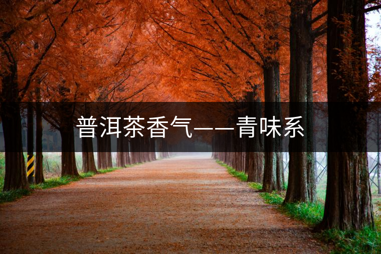 普洱茶香氣——青味系 普洱茶香氣——青味系
