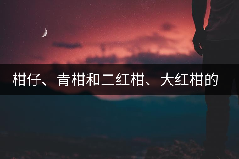 柑仔、青柑和二紅柑、大紅柑的區(qū)別，你可知道？