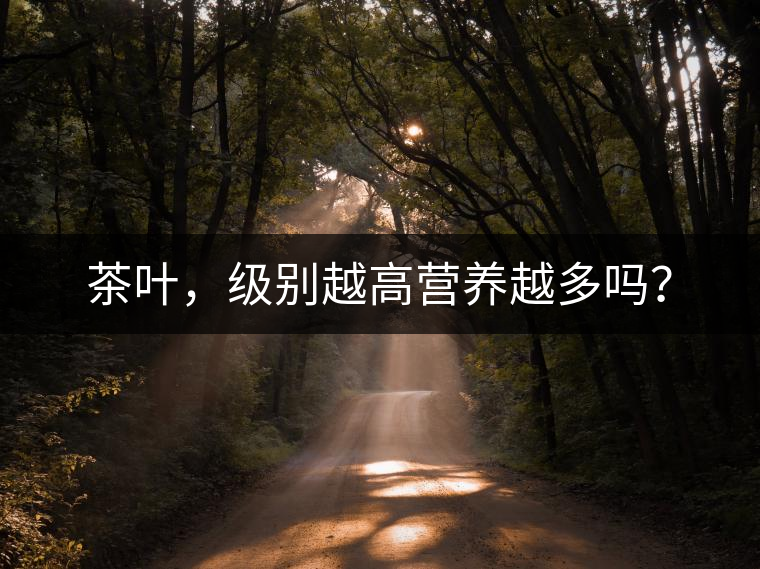 茶葉，級別越高營養(yǎng)越多嗎？