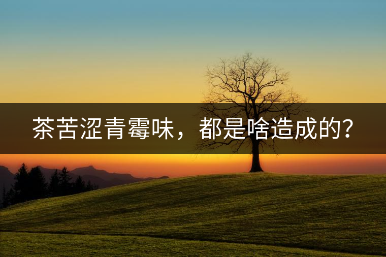 茶苦澀青霉味，都是啥造成的？