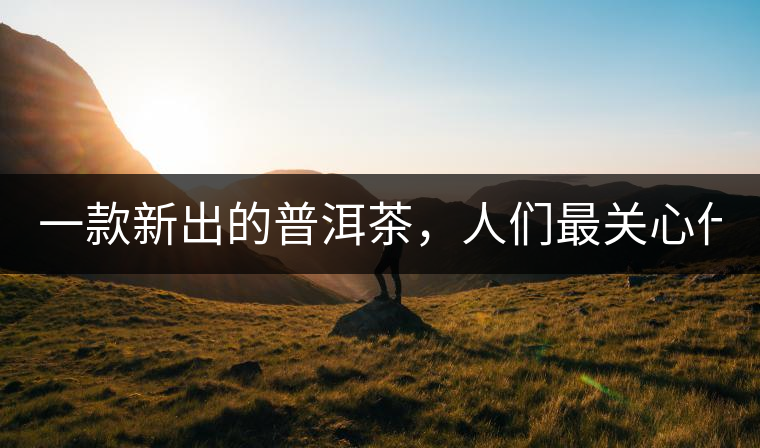 一款新出的普洱茶，人們最關(guān)心什么?