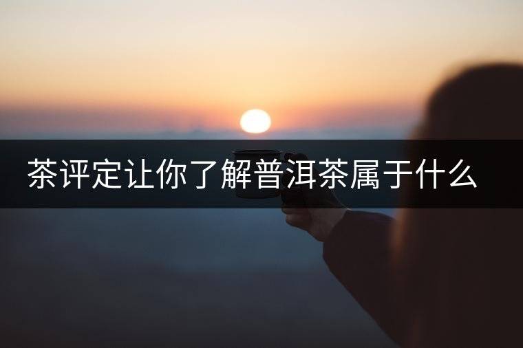 茶評定讓你了解普洱茶屬于什么茶系？