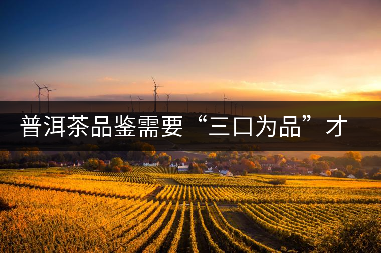 普洱茶品鑒需要“三口為品”才真實，那從哪里入手品鑒呢？