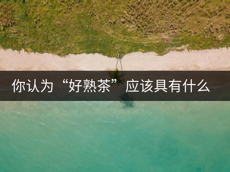 你認(rèn)為“好熟茶”應(yīng)該具有什么樣的標(biāo)準(zhǔn)？