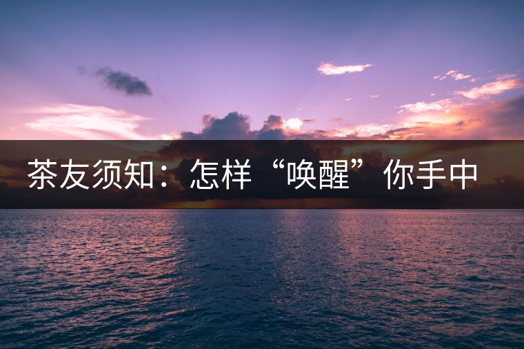 茶友須知：怎樣“喚醒”你手中的那一餅普洱茶？