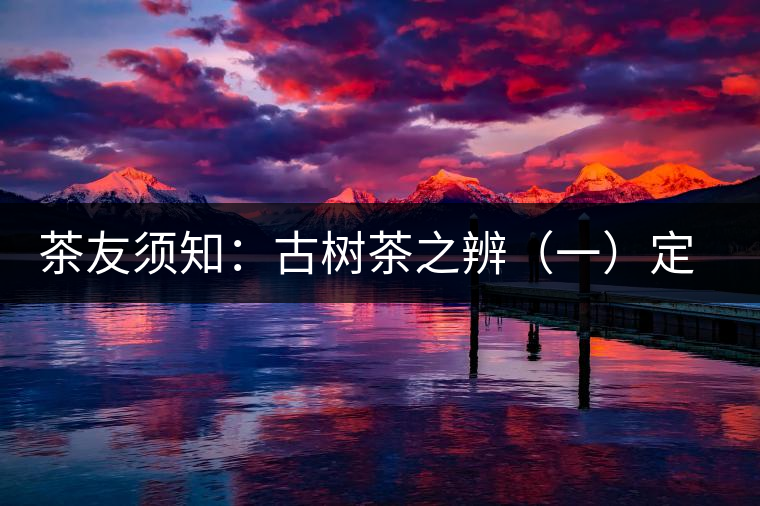 茶友須知：古樹(shù)茶之辨（一）定義厘清