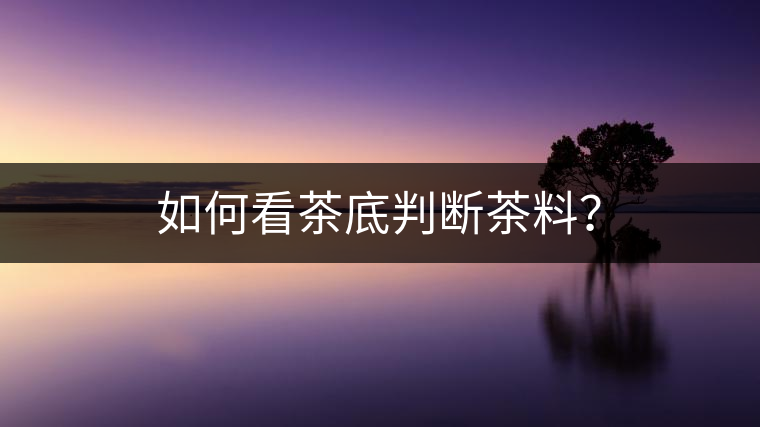 如何看茶底判斷茶料？