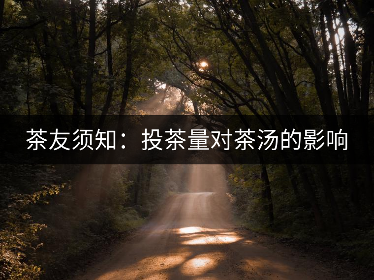 茶友須知：投茶量對茶湯的影響