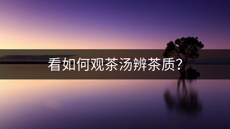 看如何觀茶湯辨茶質(zhì)？
