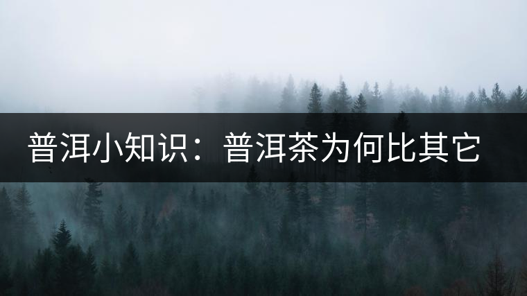 普洱小知識：普洱茶為何比其它茶葉耐泡？