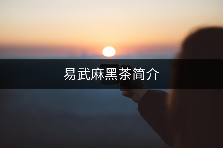 易武麻黑茶簡介