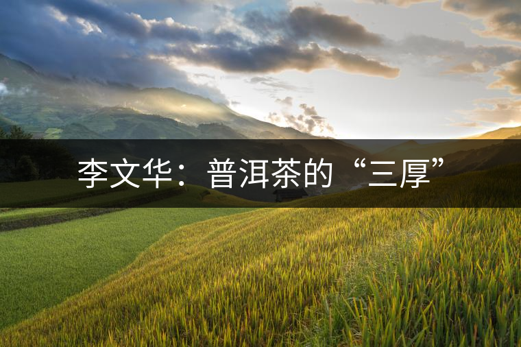 李文華：普洱茶的“三厚”