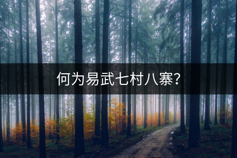 何為易武七村八寨？