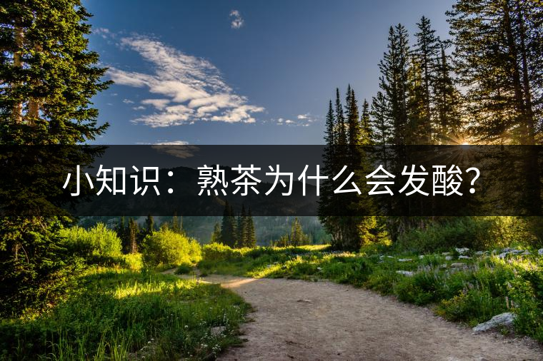 小知識：熟茶為什么會發(fā)酸？