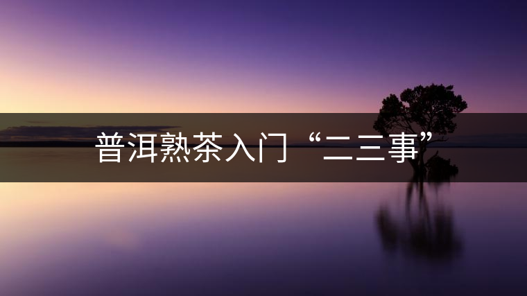 普洱熟茶入門“二三事”