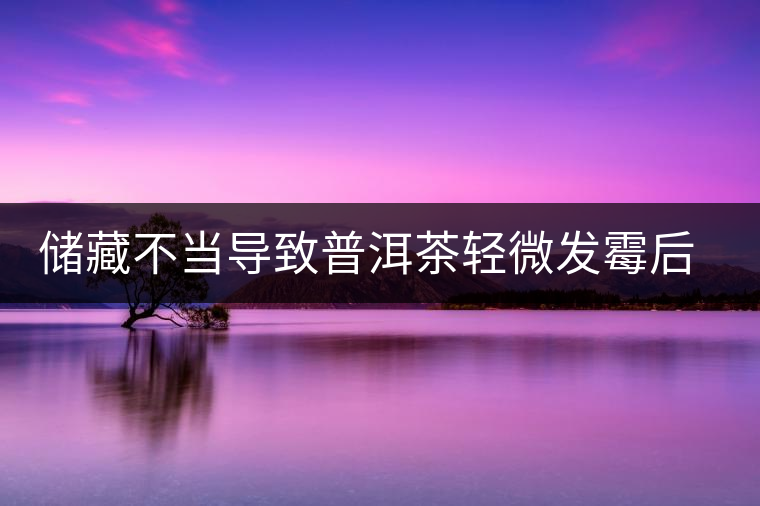 儲(chǔ)藏不當(dāng)導(dǎo)致普洱茶輕微發(fā)霉后如何處理？