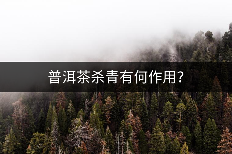 普洱茶殺青有何作用？