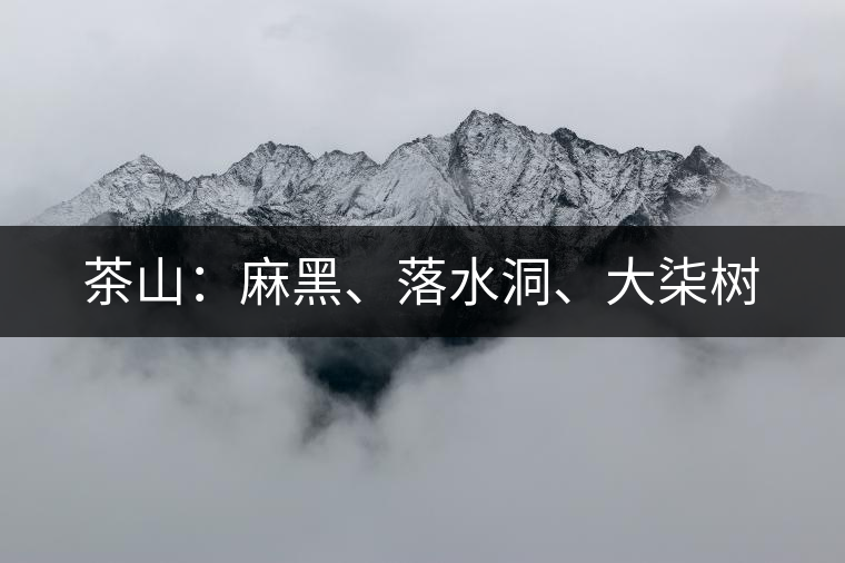 茶山：麻黑、落水洞、大柒樹