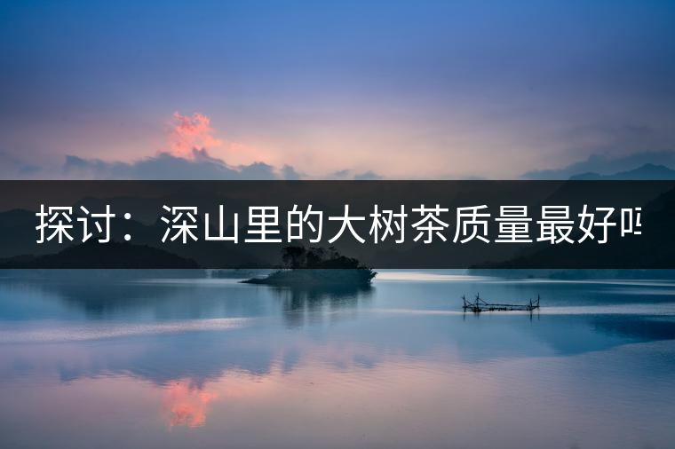 探討：深山里的大樹茶質(zhì)量最好嗎？