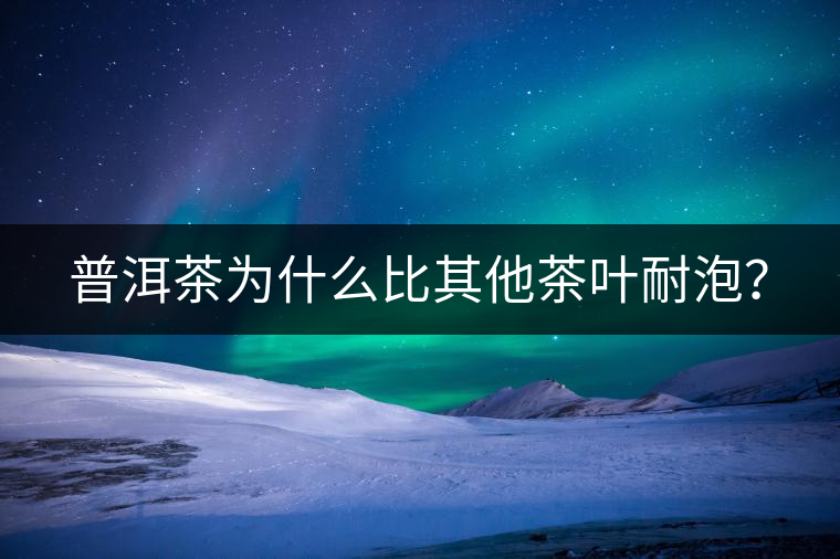 普洱茶為什么比其他茶葉耐泡？