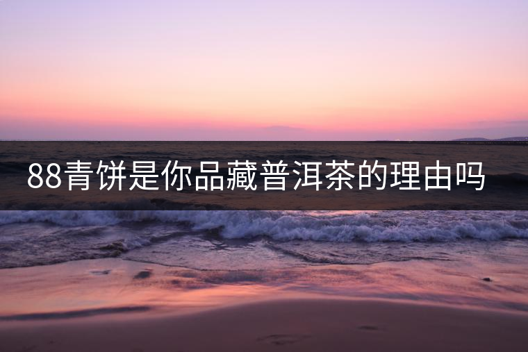 88青餅是你品藏普洱茶的理由嗎？