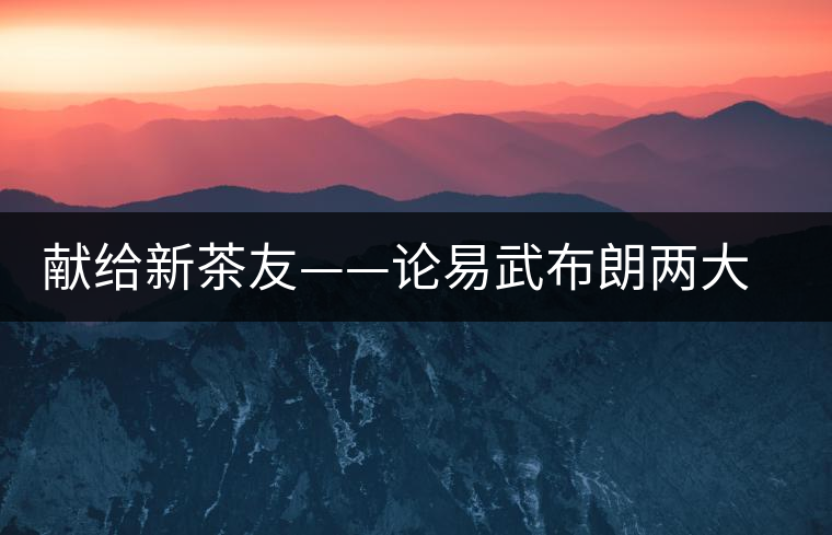 獻給新茶友——論易武布朗兩大風格