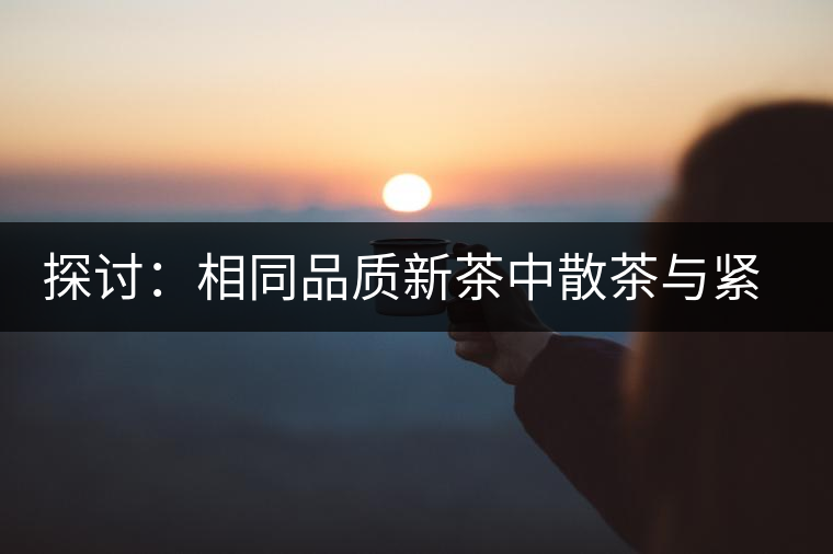 探討：相同品質(zhì)新茶中散茶與緊壓茶哪個好？