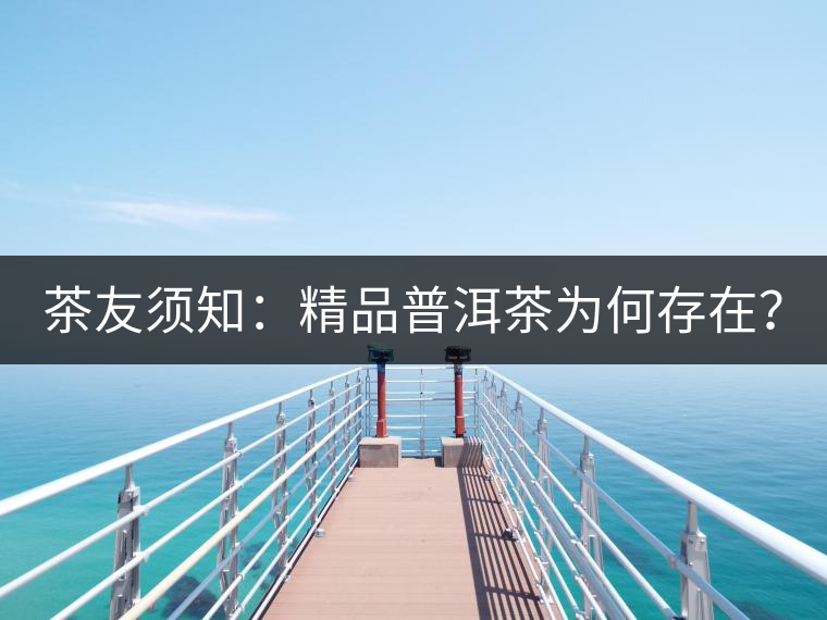 茶友須知：精品普洱茶為何存在？