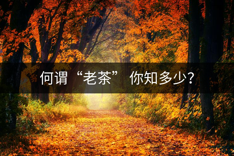 何謂“老茶” 你知多少? 何謂“老茶” 你知多少?