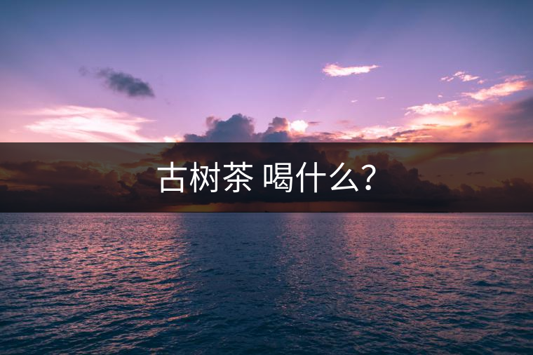古樹茶 喝什么？