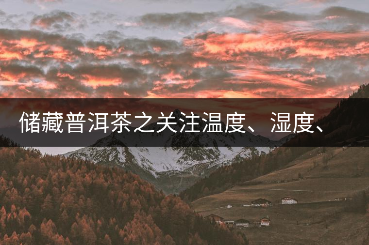 儲藏普洱茶之關(guān)注溫度、濕度、異味因素影響