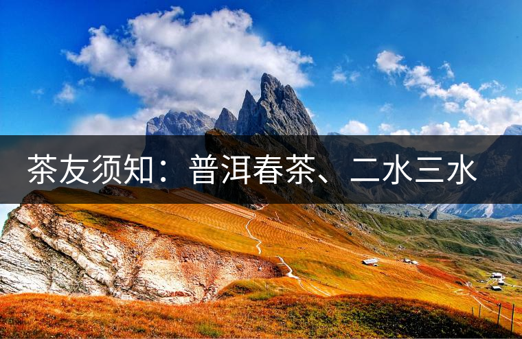 茶友須知：普洱春茶、二水三水茶和谷花茶