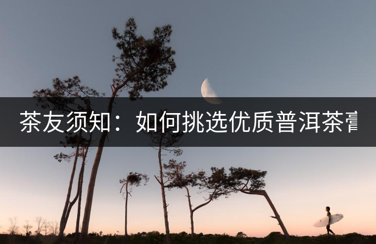茶友須知：如何挑選優(yōu)質(zhì)普洱茶膏？