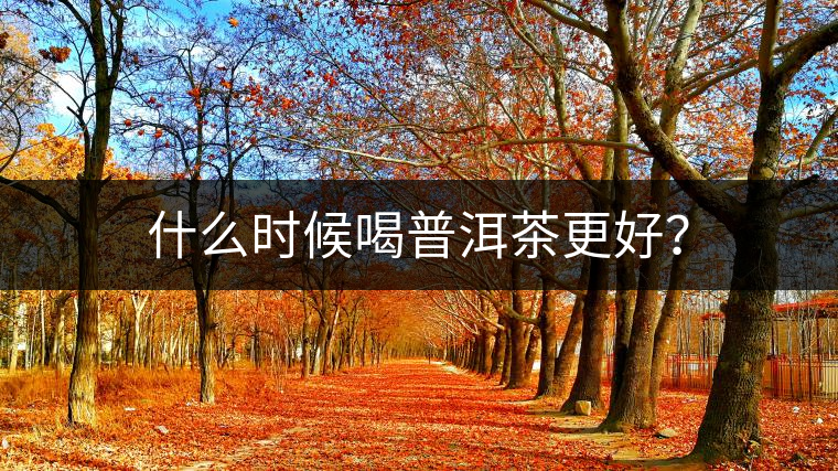 什么時候喝普洱茶更好？