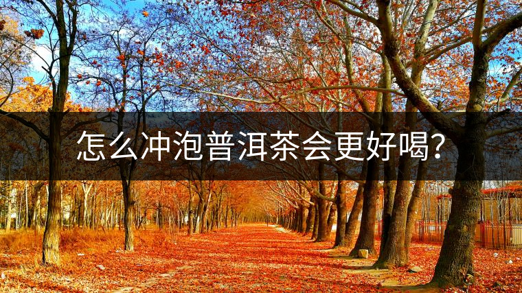 怎么沖泡普洱茶會(huì)更好喝？