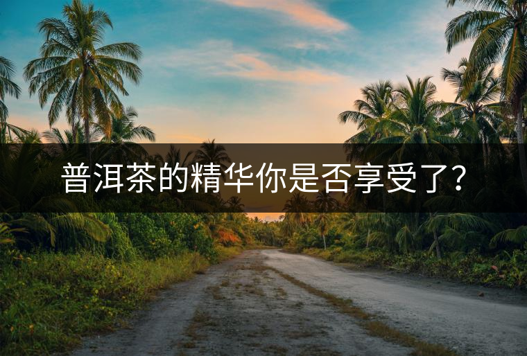 普洱茶的精華你是否享受了？