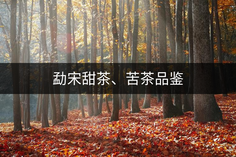 勐宋甜茶、苦茶品鑒
